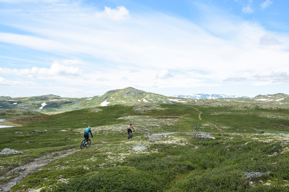 Sti og støl