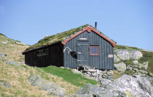 Håheller