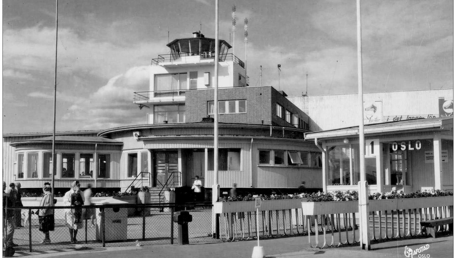 Odonata in the 60s