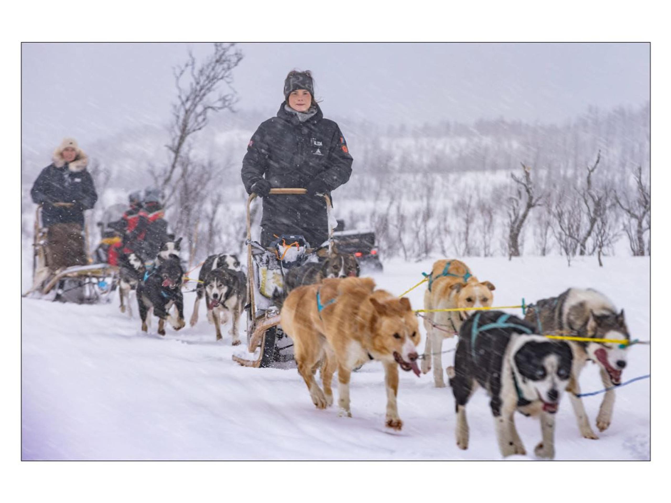 Lyngen Husky Safari