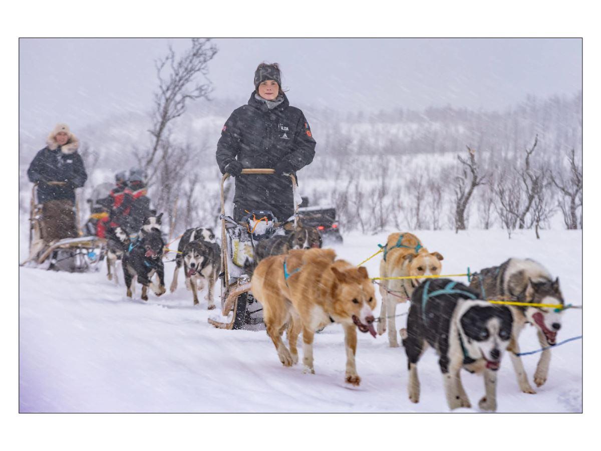 Lyngen Husky Safari