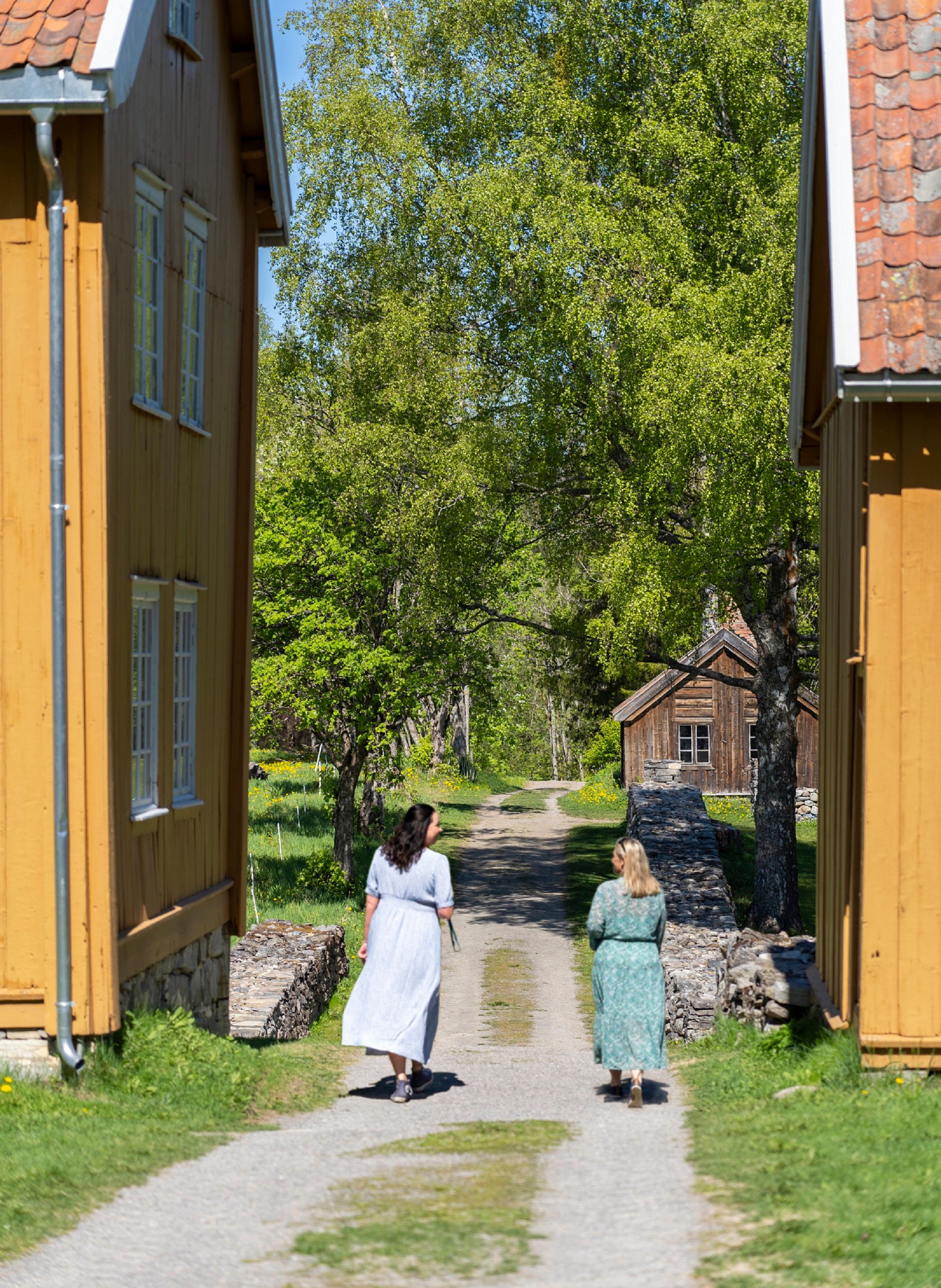 Stenberg Sommer