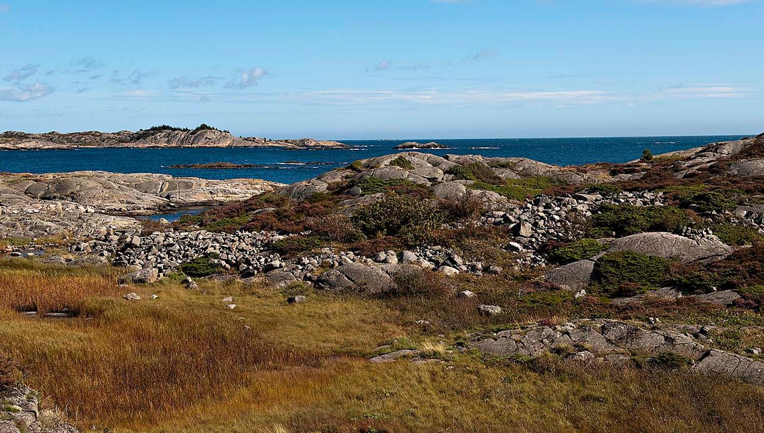 Randøya
