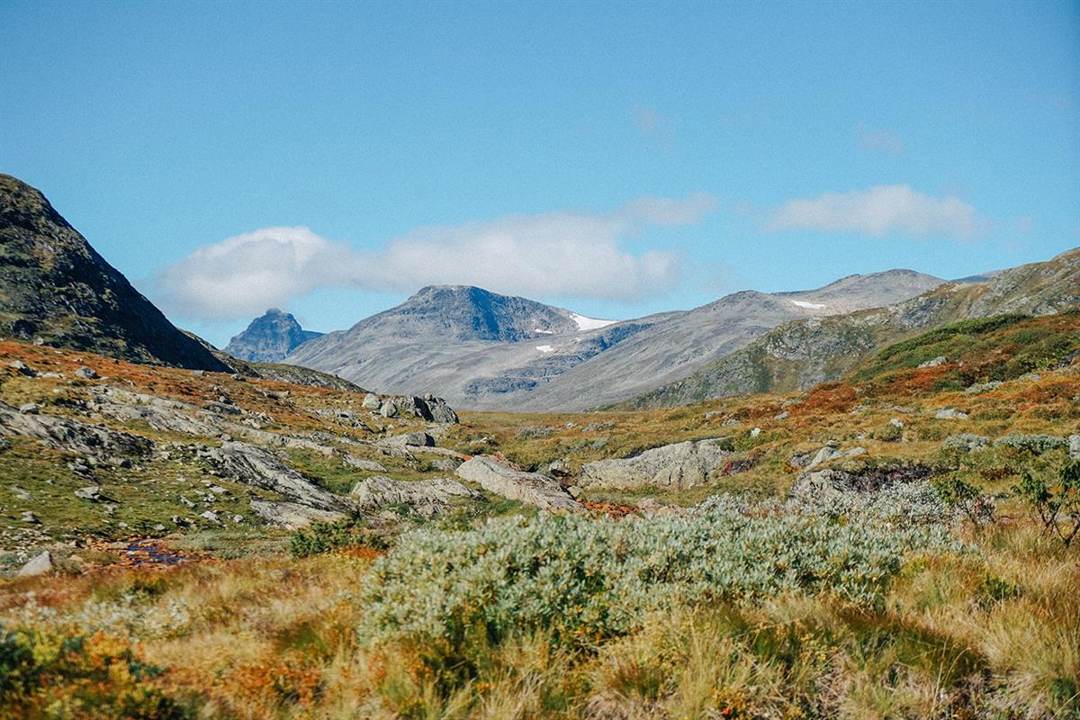 Flott utsikt på vei opp Synshorn.