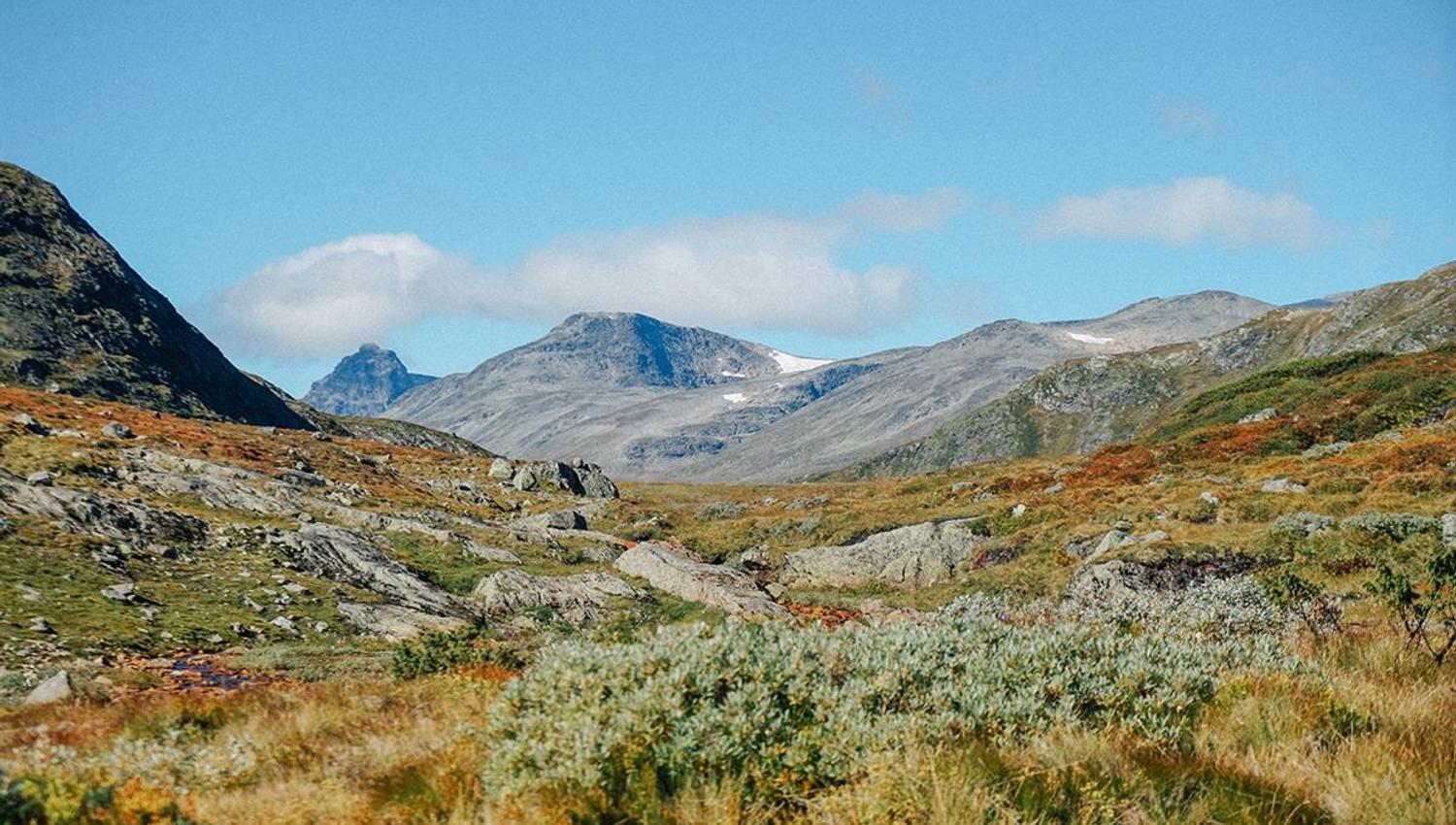 Flott utsikt på vei opp Synshorn.