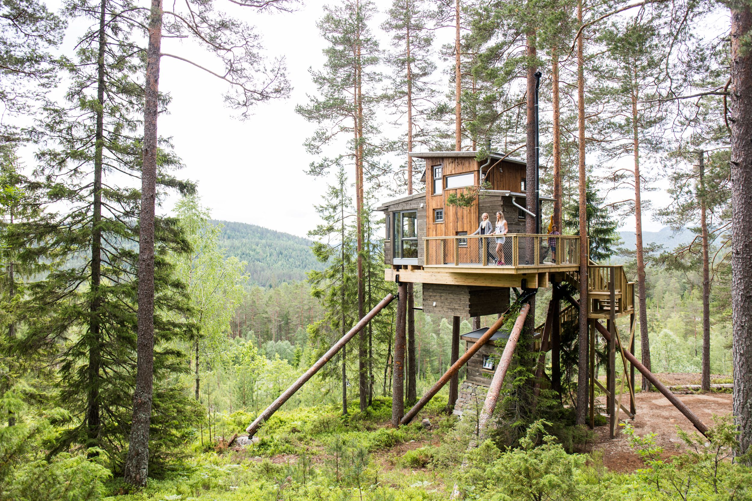 Gjøkeredet
