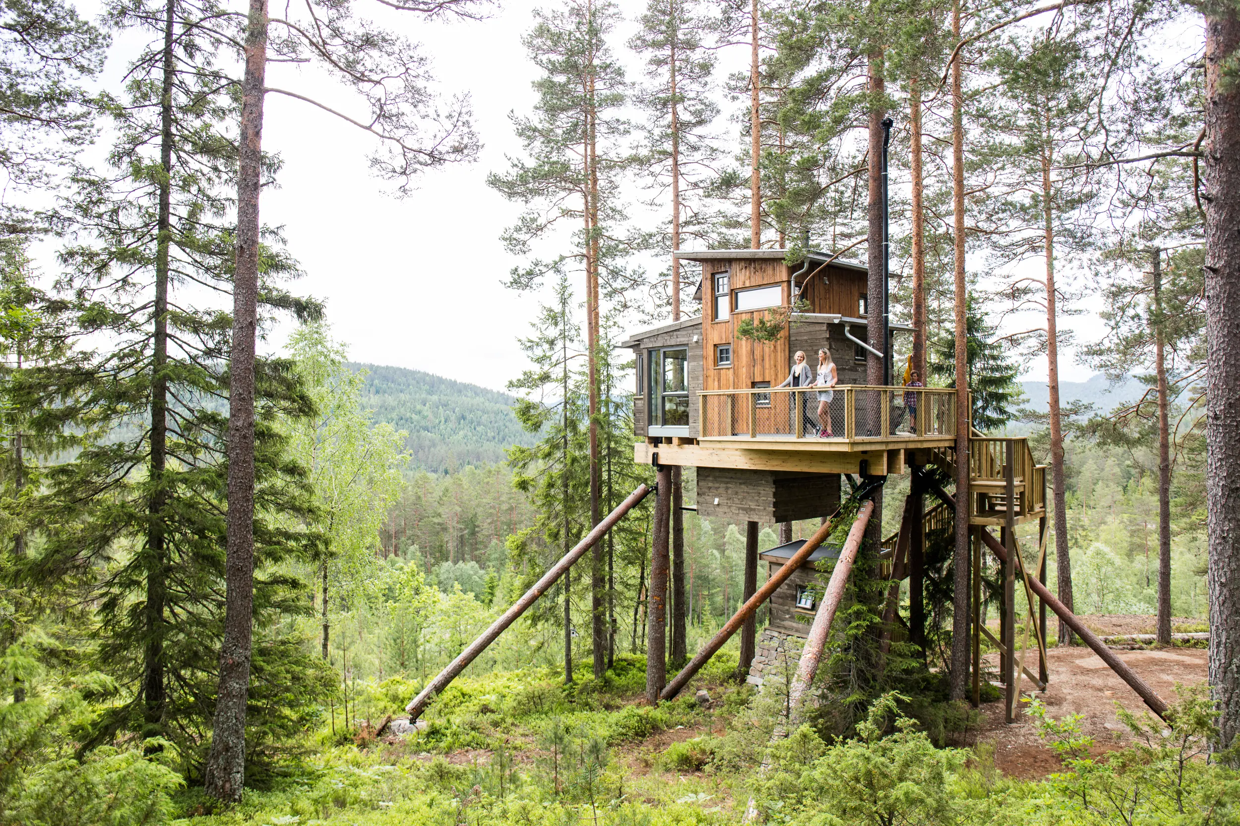 Trehyttene - Treetop cabins in Gjerstad