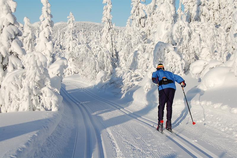 Løypene på Gausta går i variert terreng.