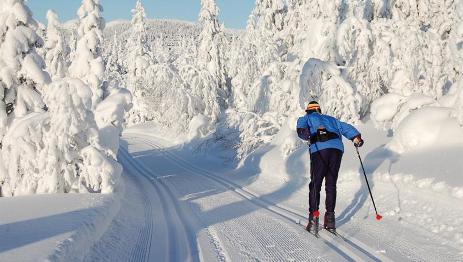 Løypene på Gausta går i variert terreng.