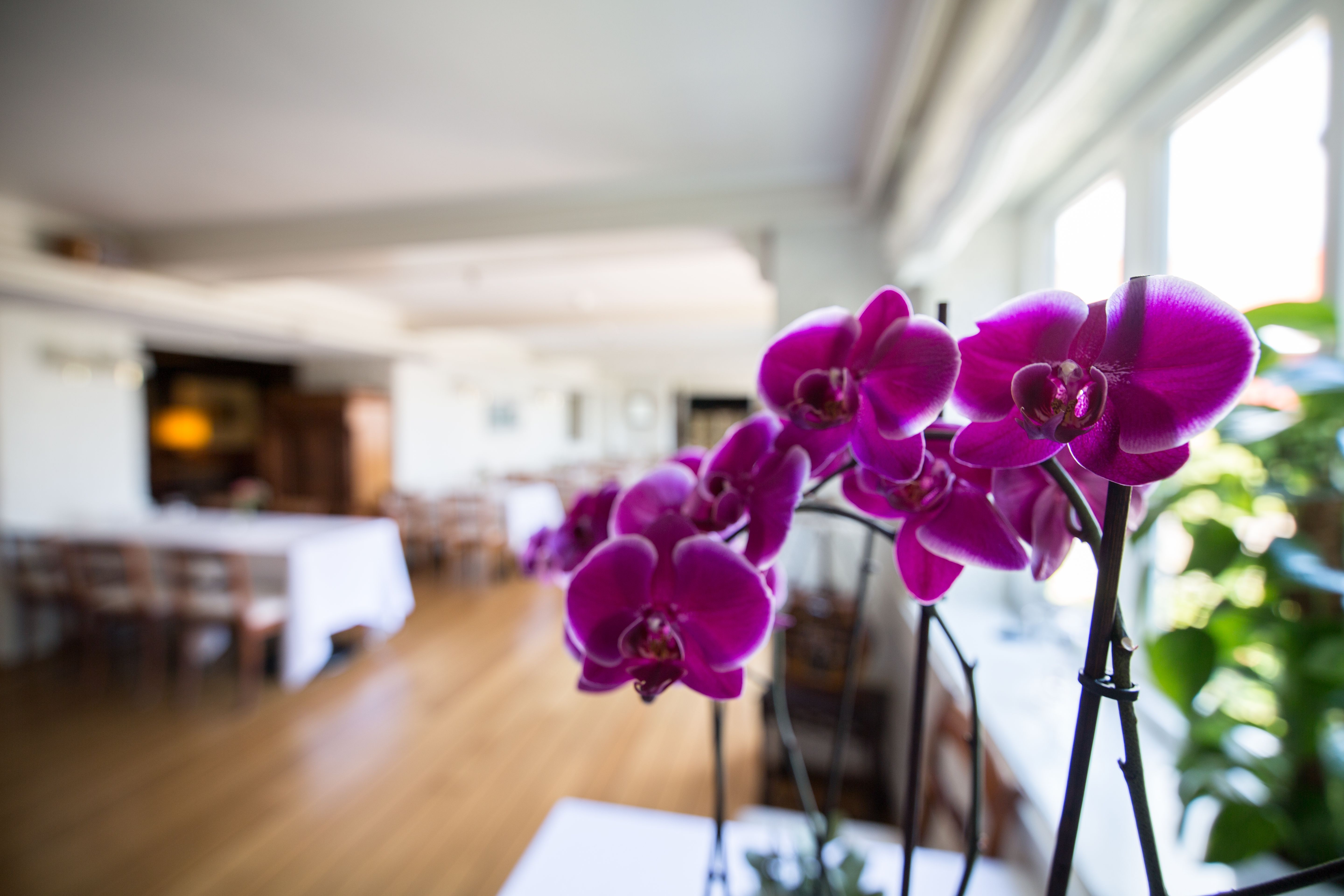 Risør Hotel foto