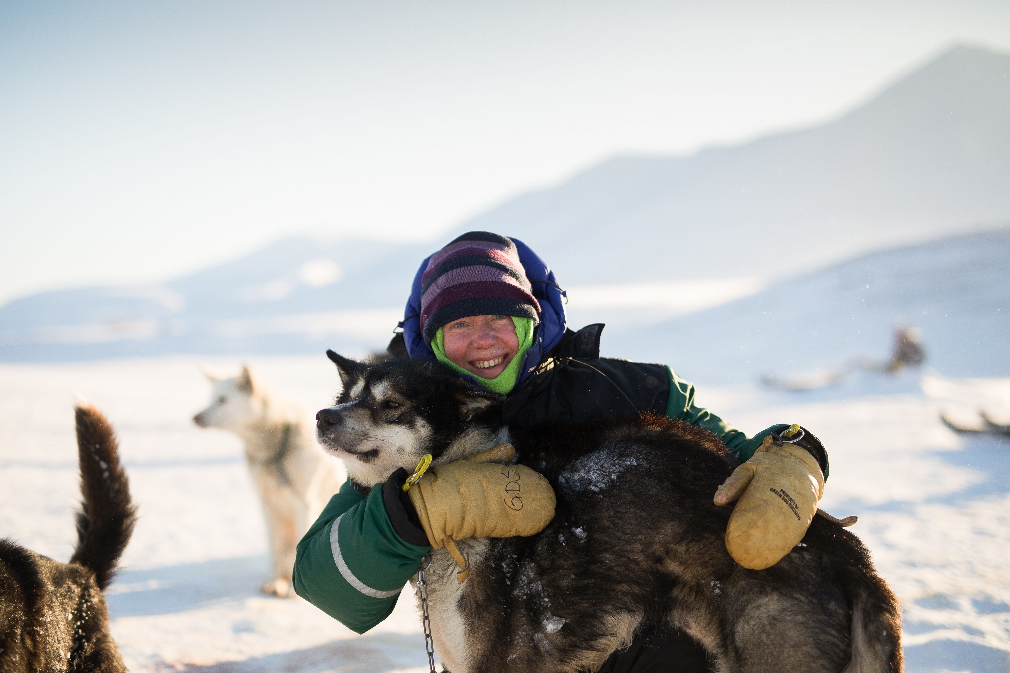 Gjest som koser med en hund