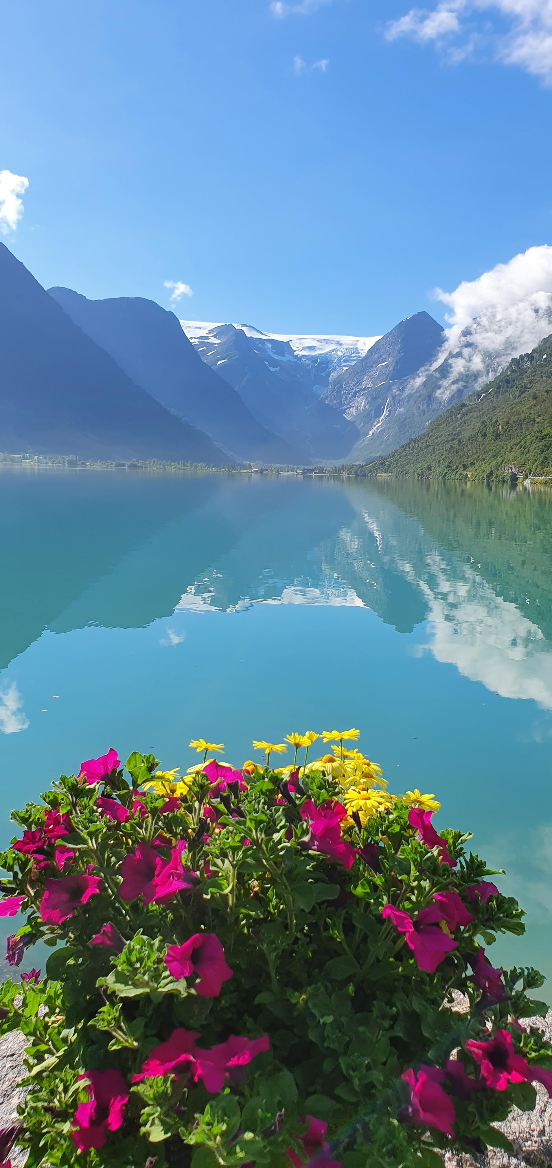Bright flowers in the foreground beside a calm turquoise lake reflecting steep mountains, clouds, and blue sky.