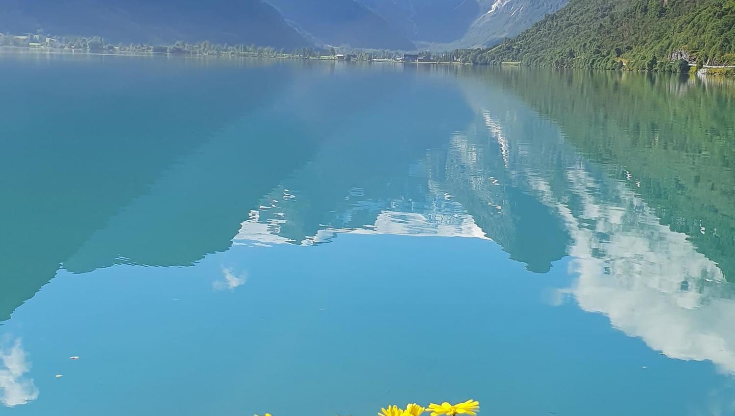 Bright flowers in the foreground beside a calm turquoise lake reflecting steep mountains, clouds, and blue sky.