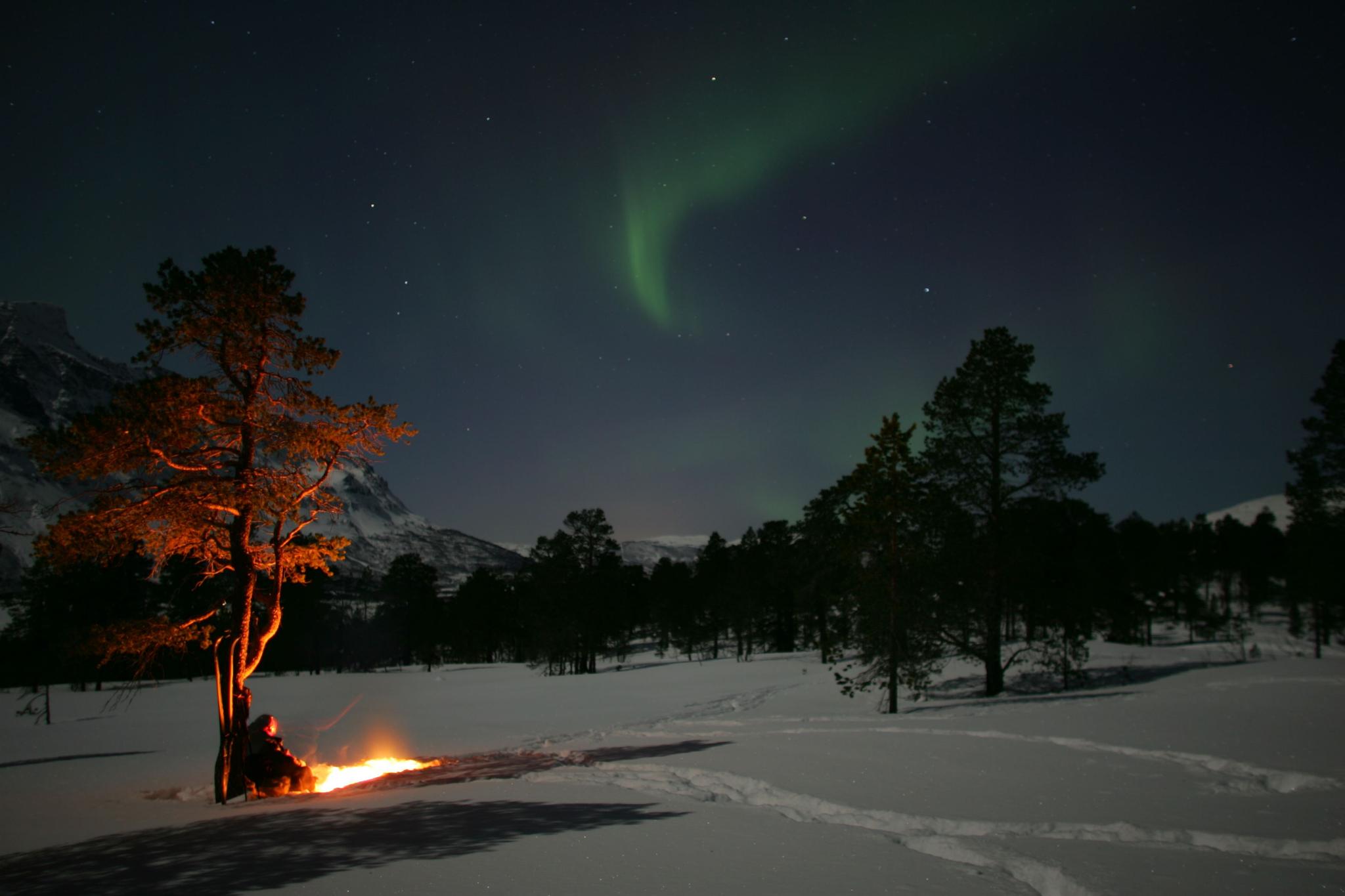 Guidet nordlyssafari i Bodø