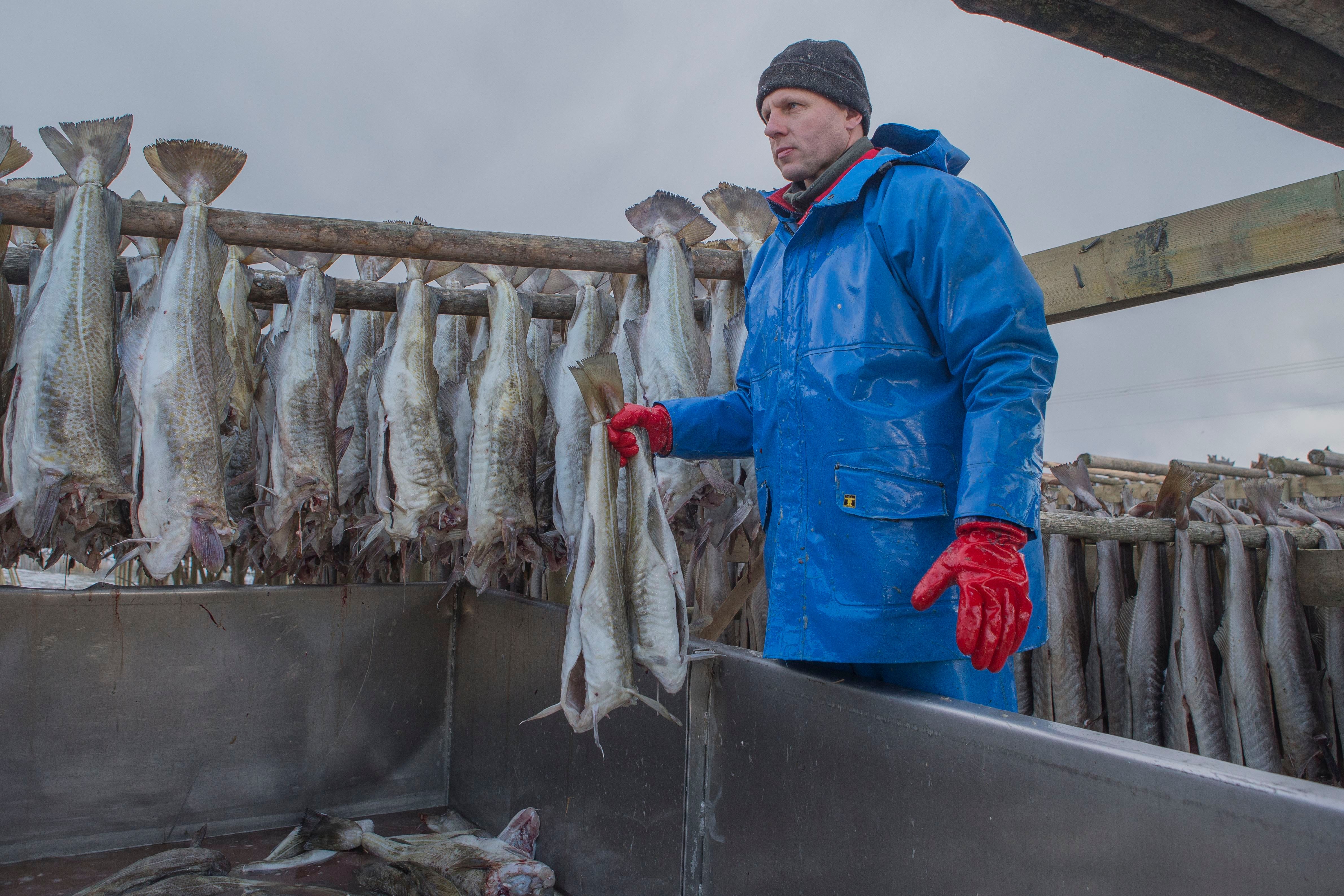The fish are hung on racks
