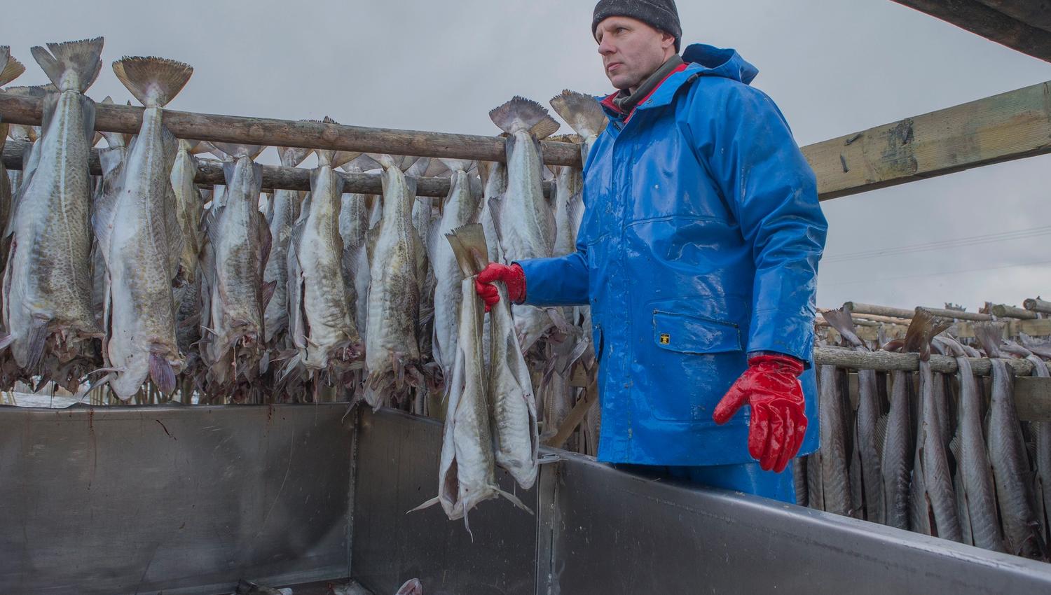 The fish are hung on racks