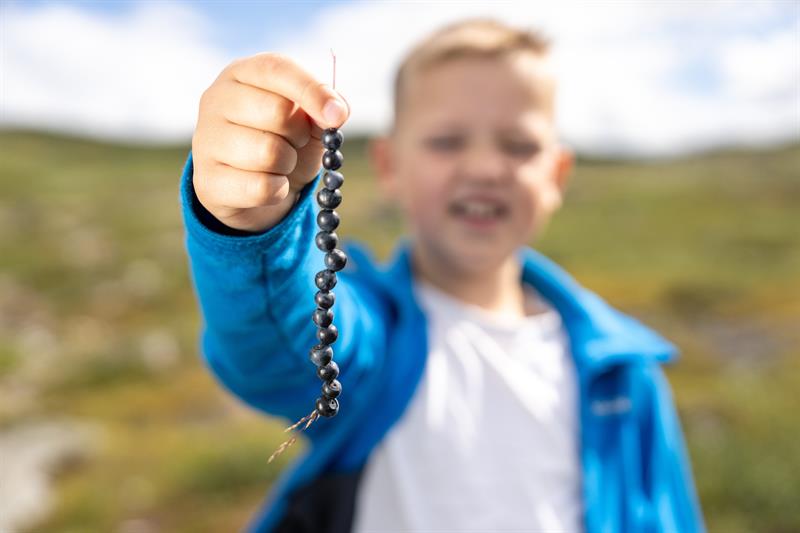 Tyin Filefjell Aktivitet