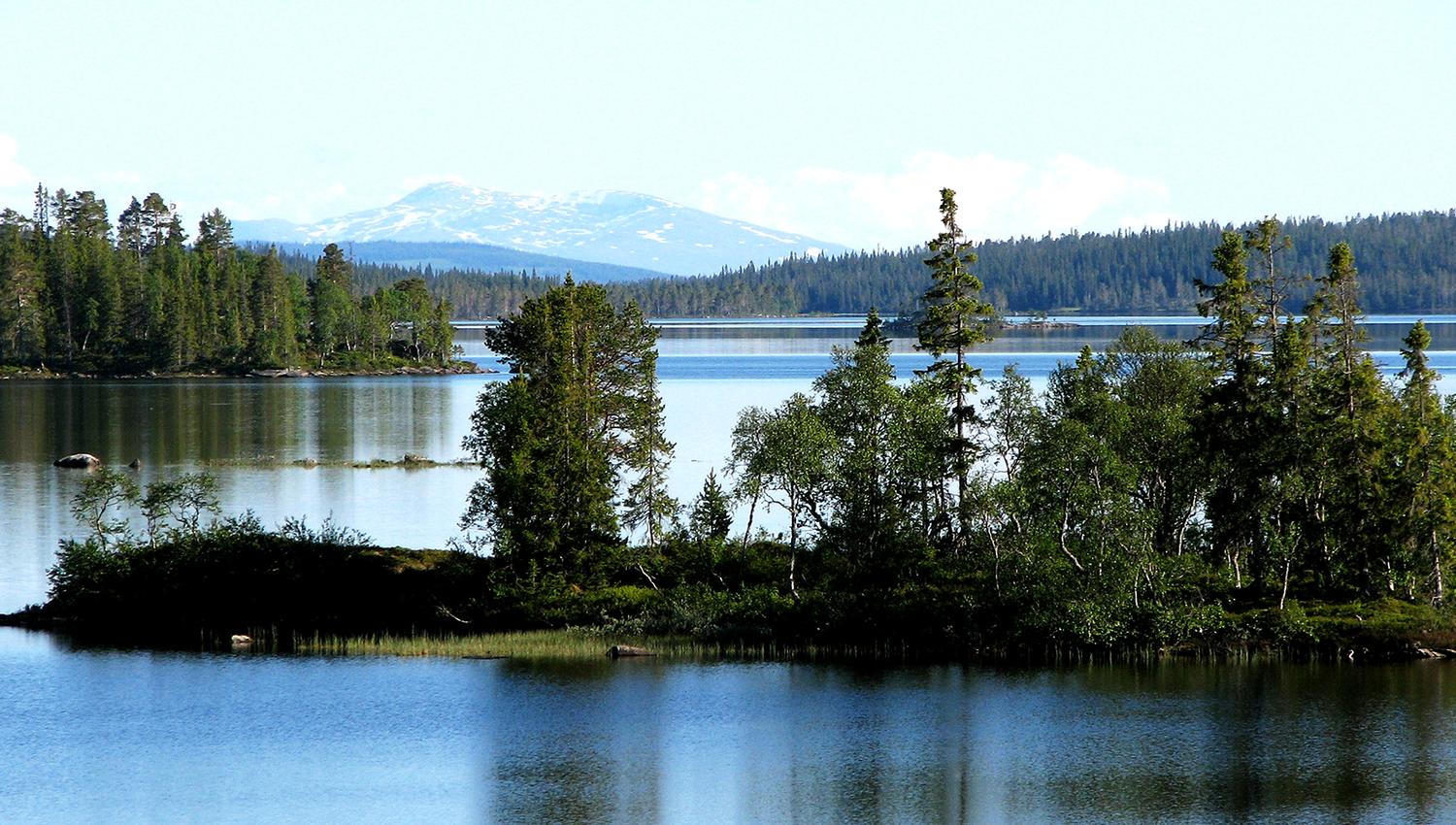 Holderen - View towards Sweden