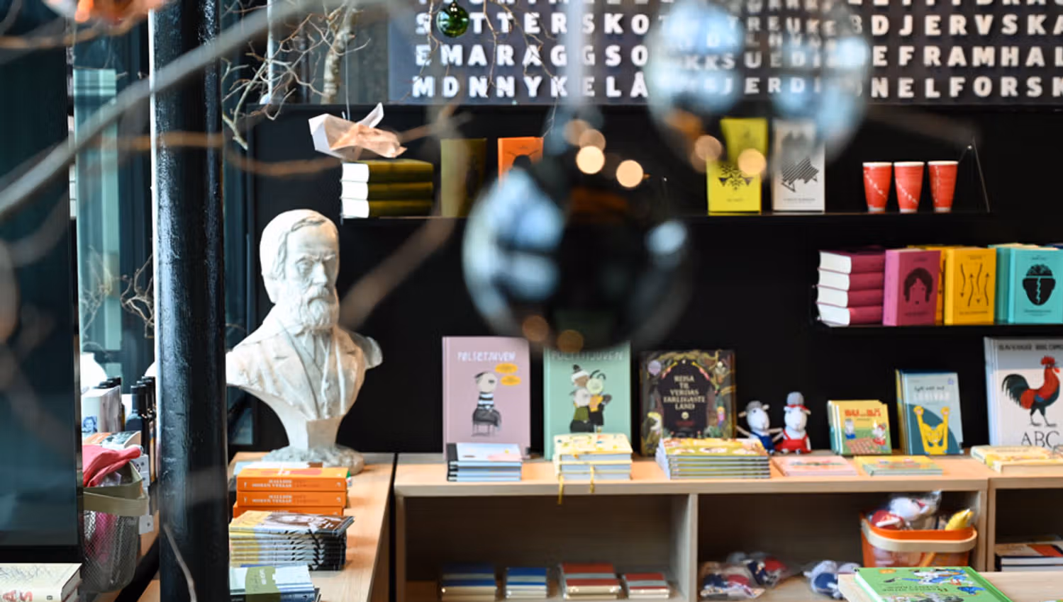different books at Vinjesenteret