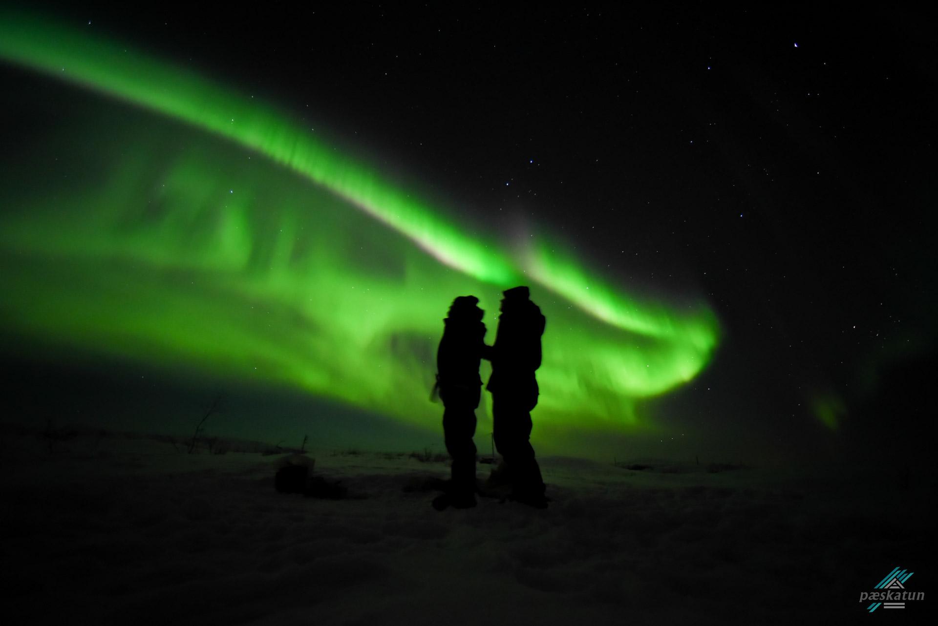 Northern lights safari in Alta