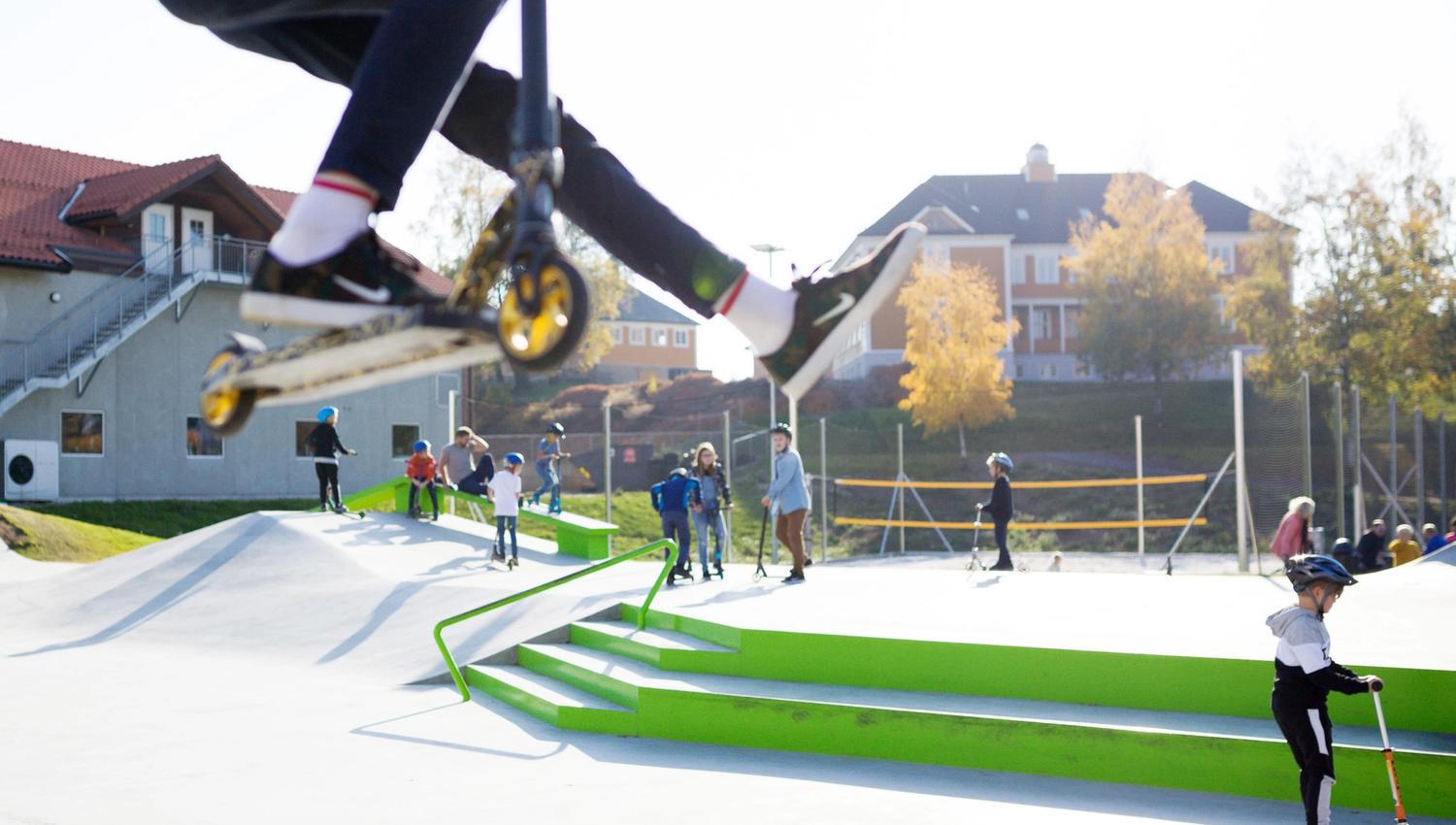 skate bane