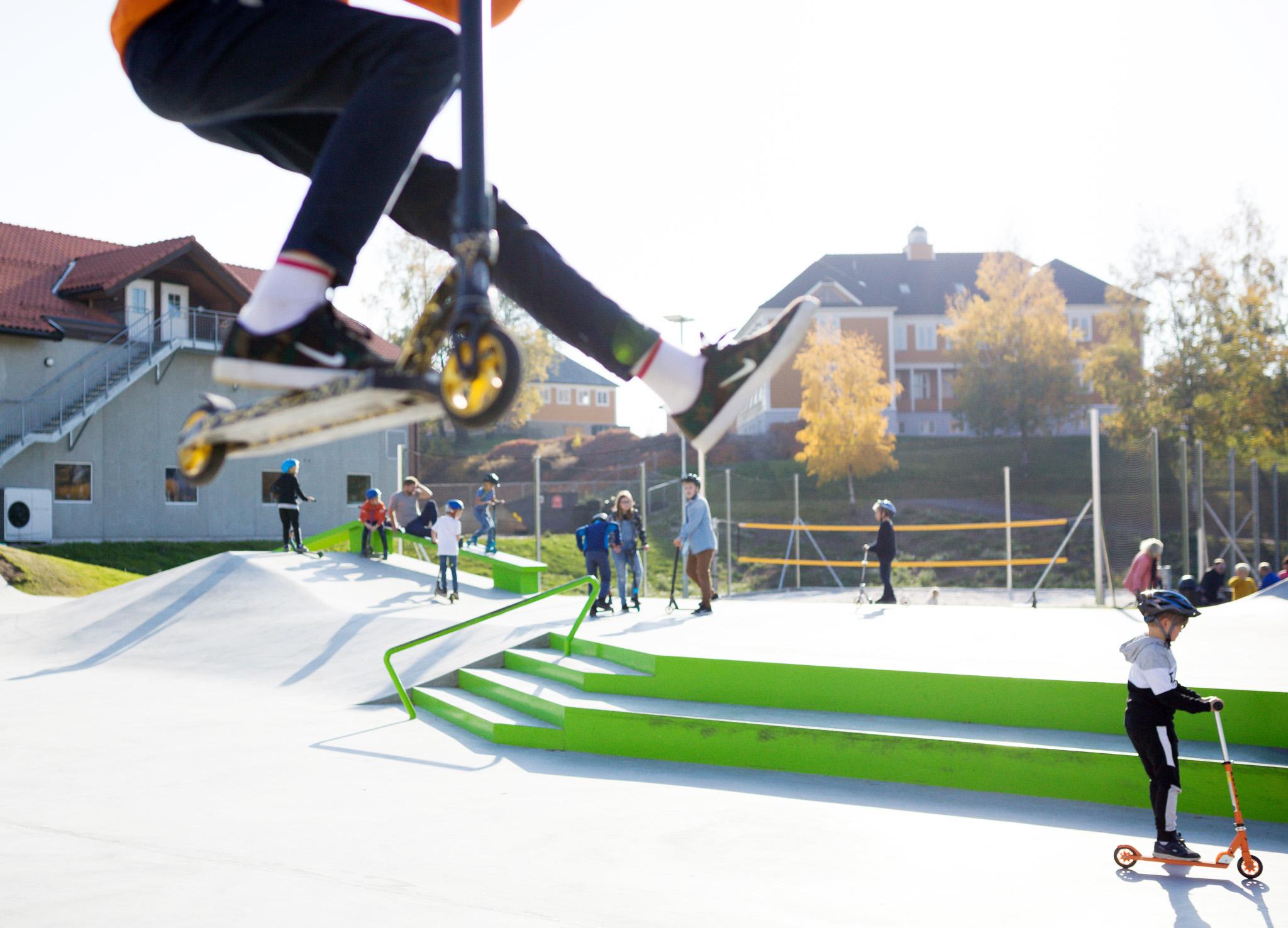skate bane