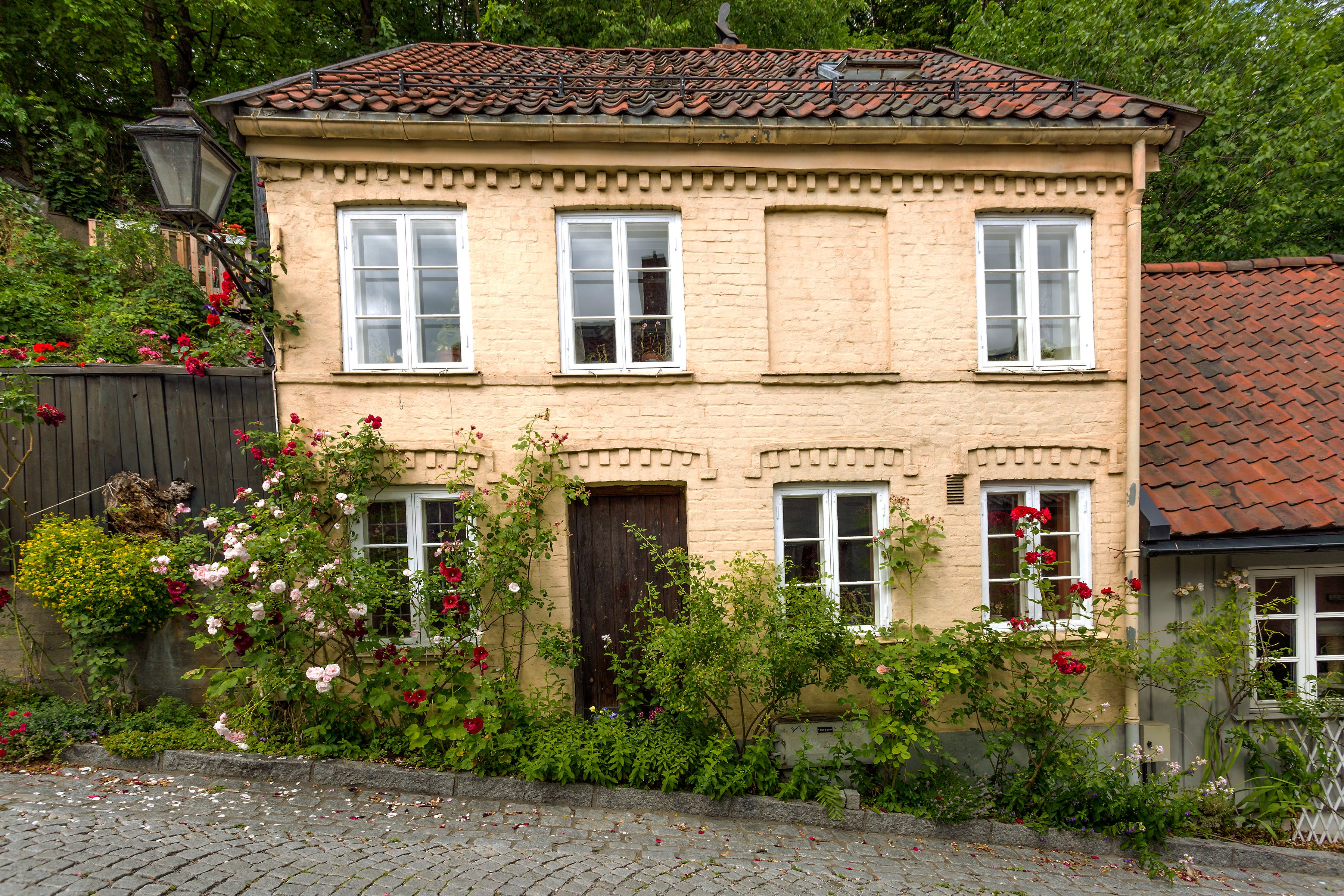 Old brick house with a variety of shrubs and flowers outside.