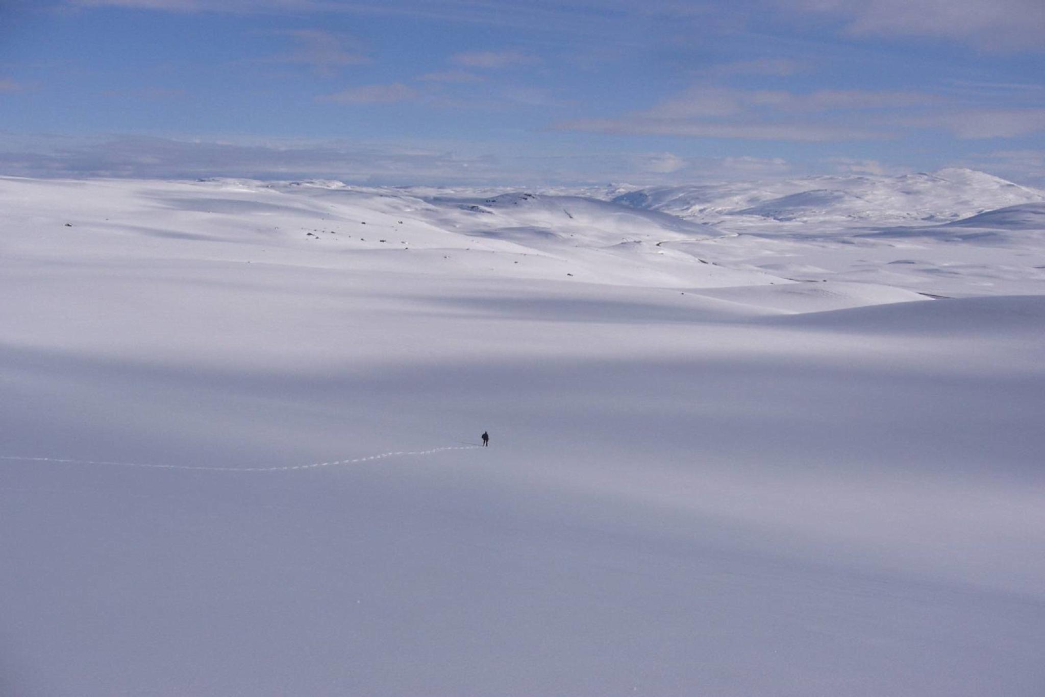 Snønuten
