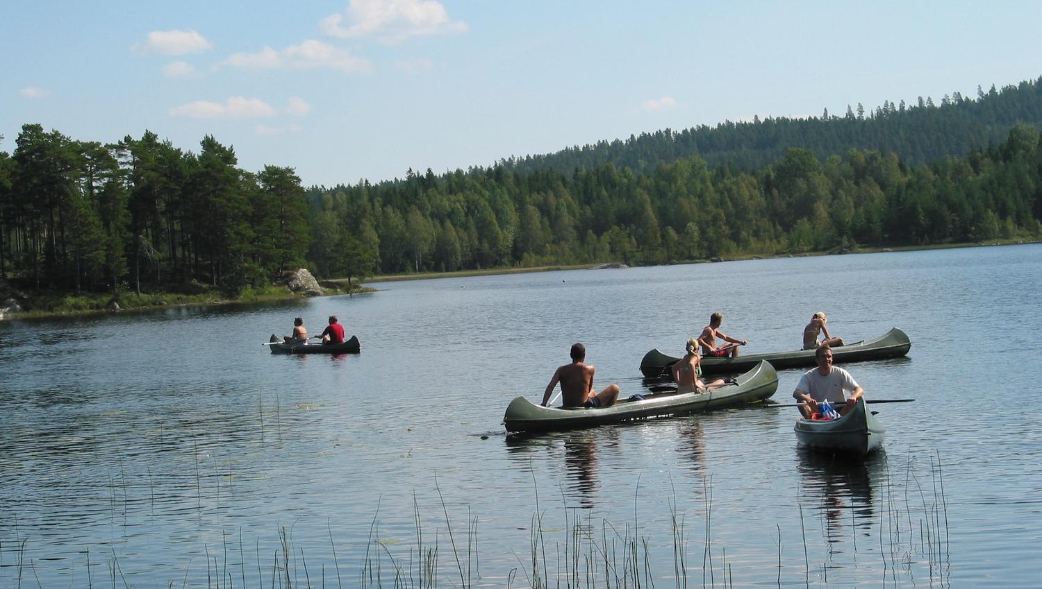 Canoes paddling