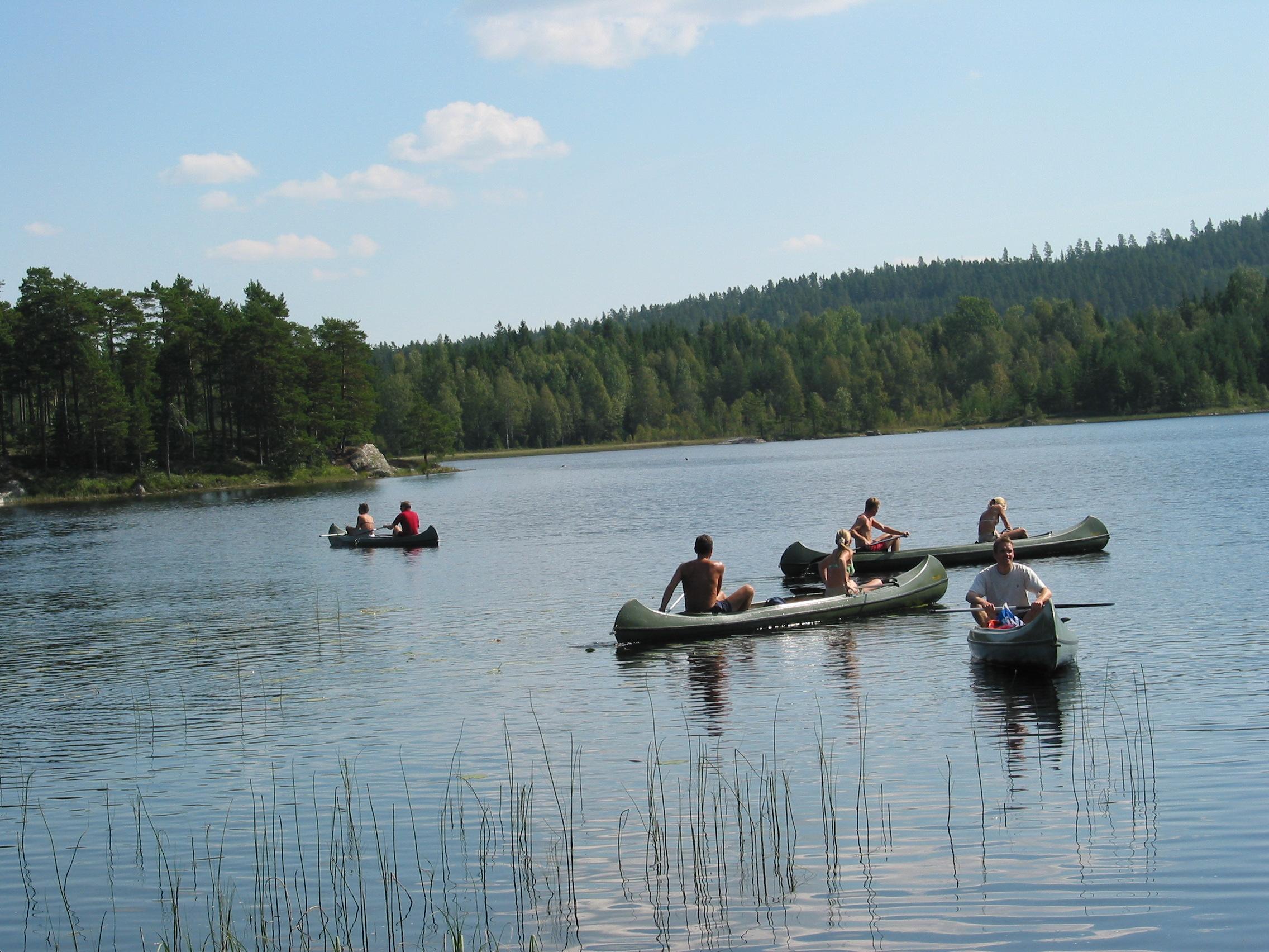 Canoes paddling