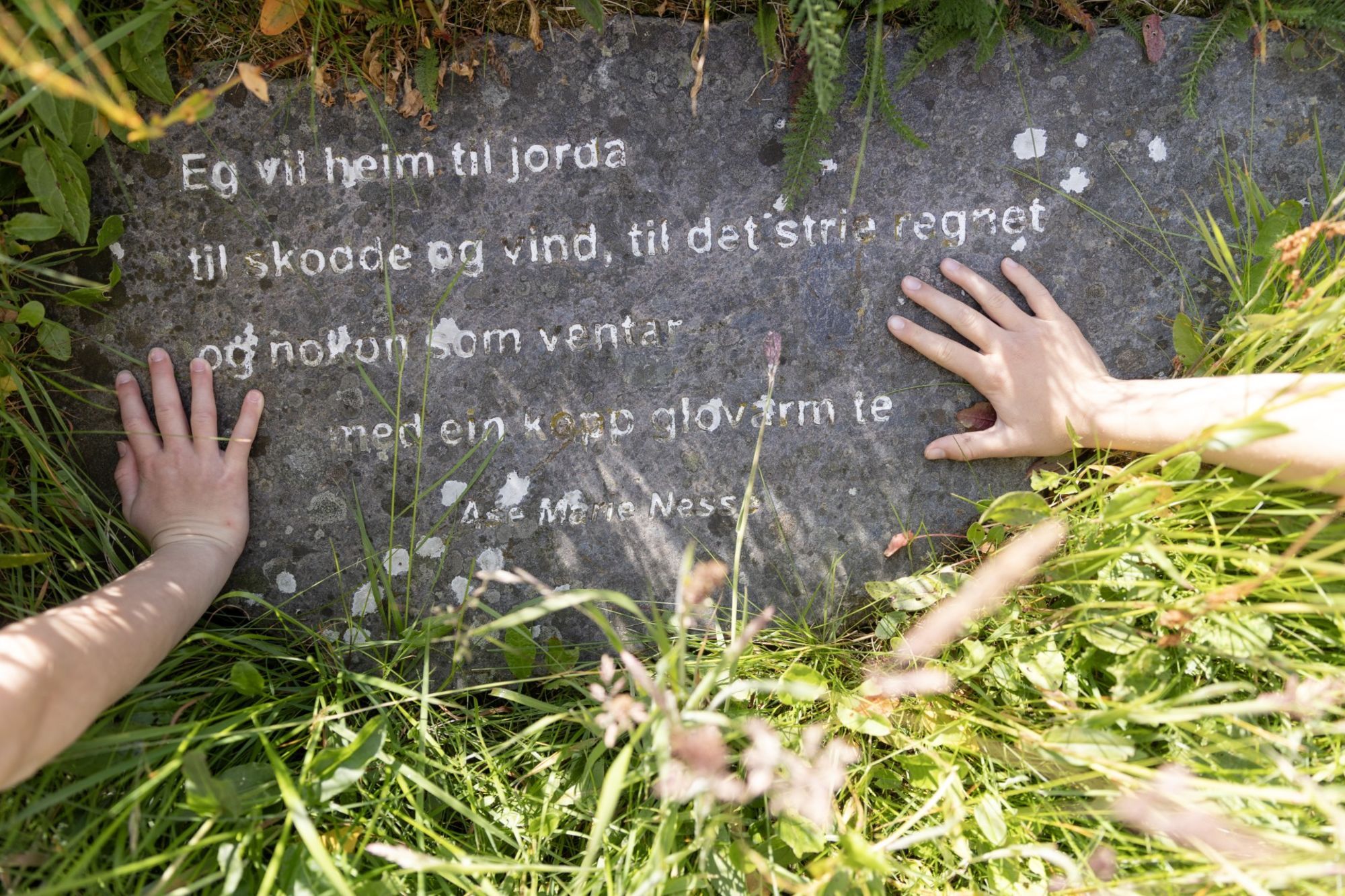 Diktarstien