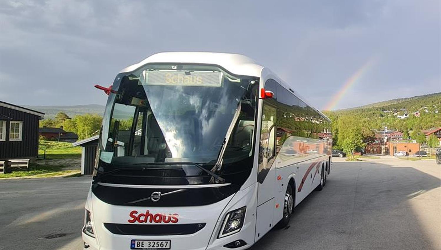 Schaus Buss