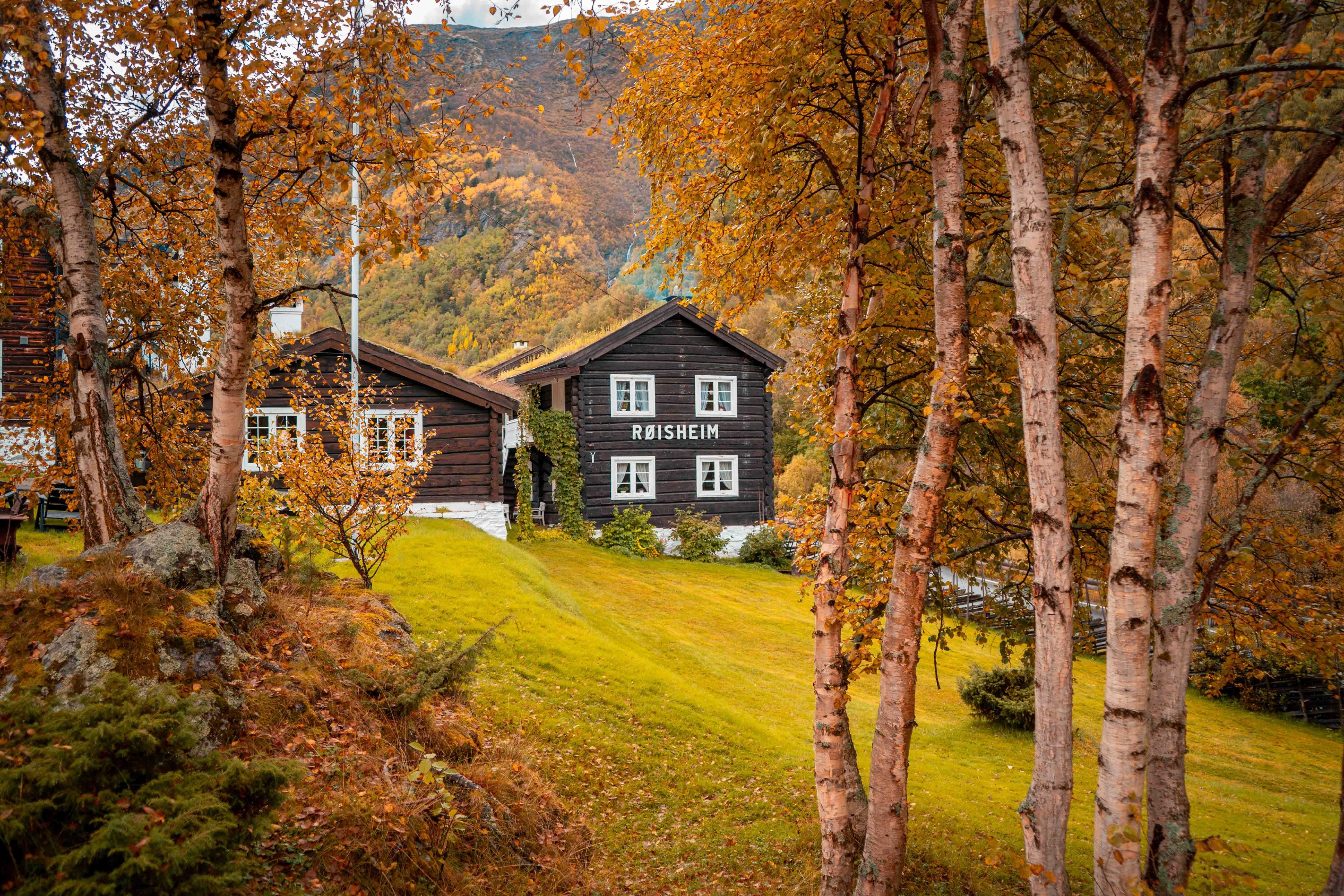 Mørke trehus med kvite vindauge står på ei grøn eng, omgitt av bjørk og haustlauv med fjell i bakgrunnen..