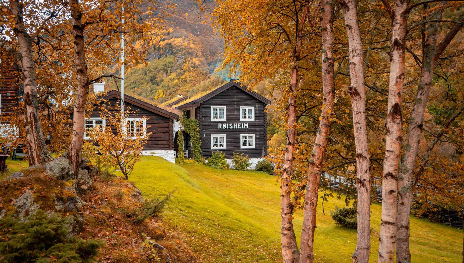 Mørke trehus med kvite vindauge står på ei grøn eng, omgitt av bjørk og haustlauv med fjell i bakgrunnen..