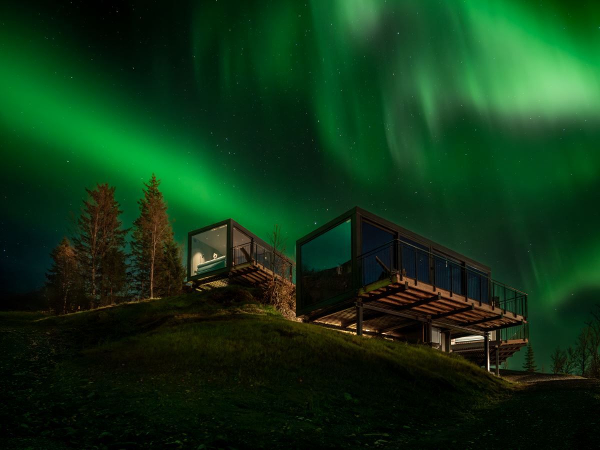 Northern Lights Adventure in Narvik