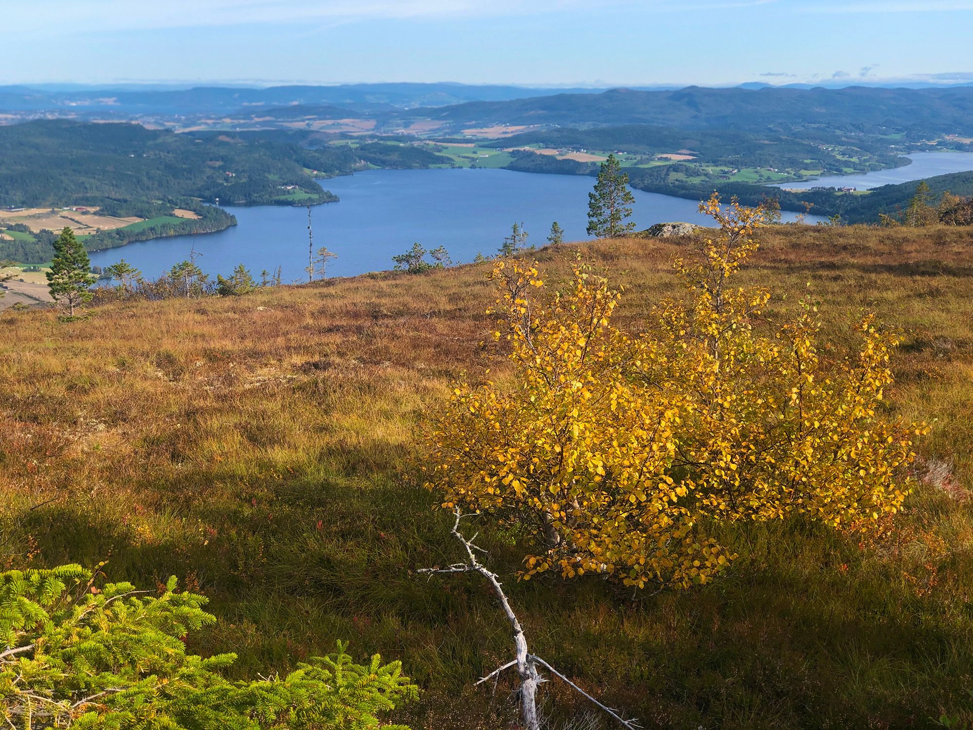 Stokkvola