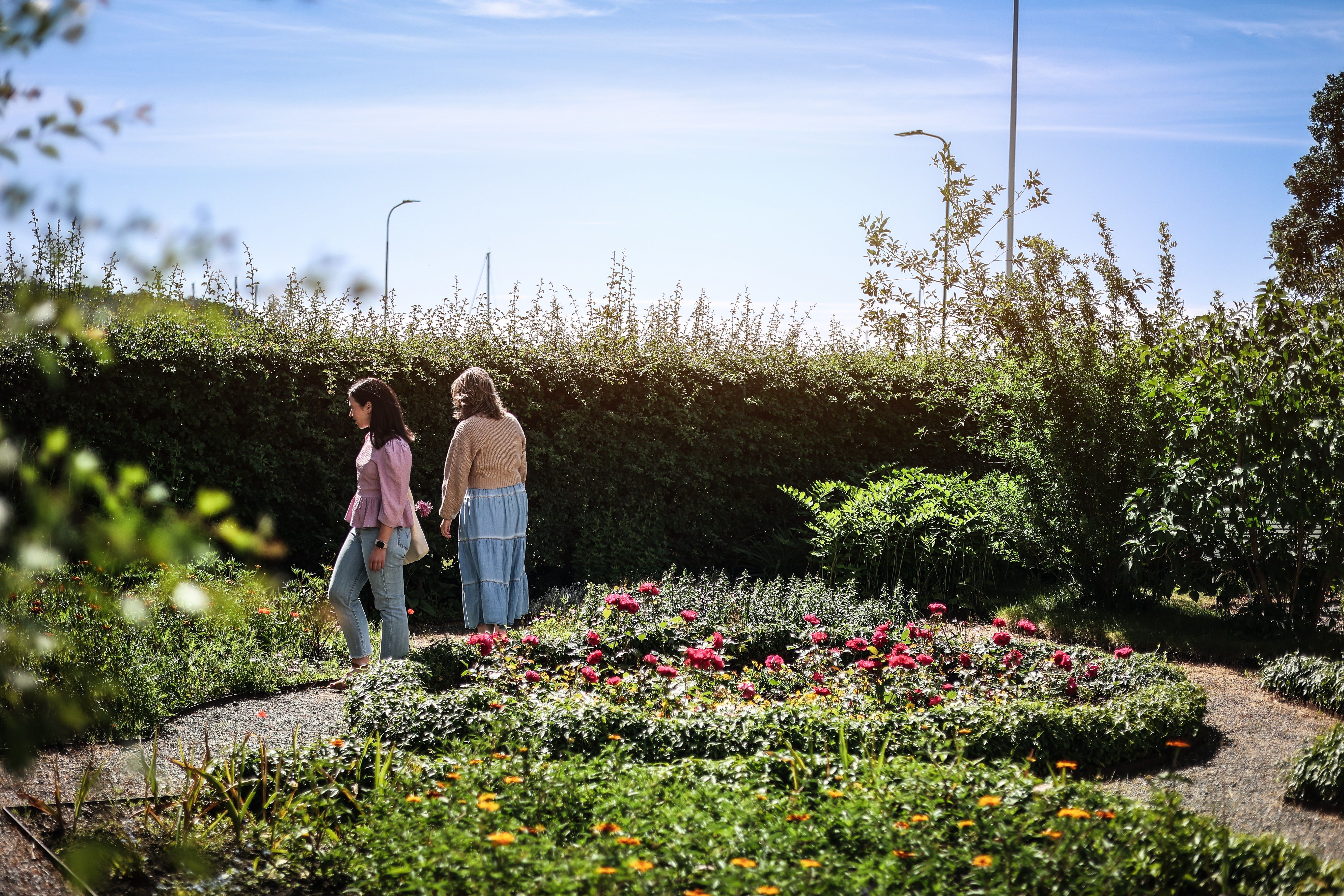 A couple strolling in the garden with lots of greenery and flowers.