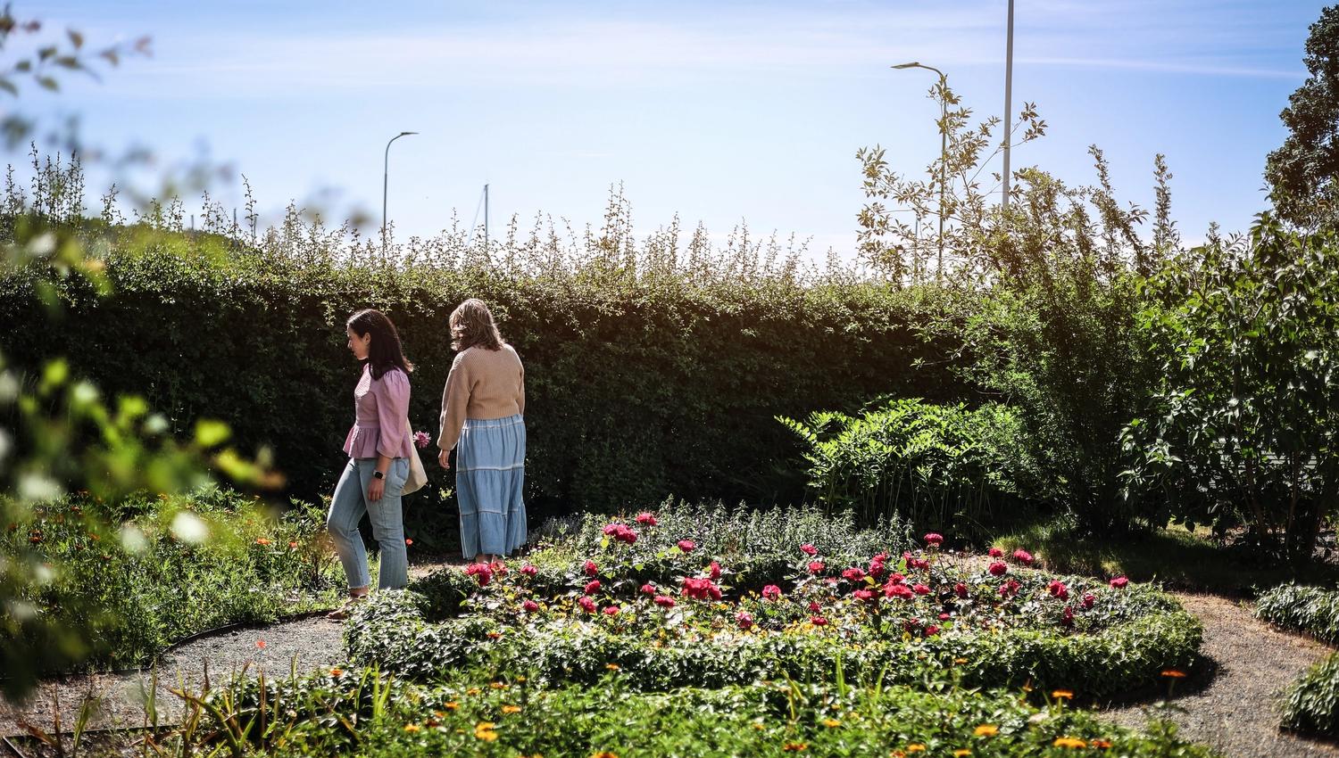 A couple strolling in the garden with lots of greenery and flowers.