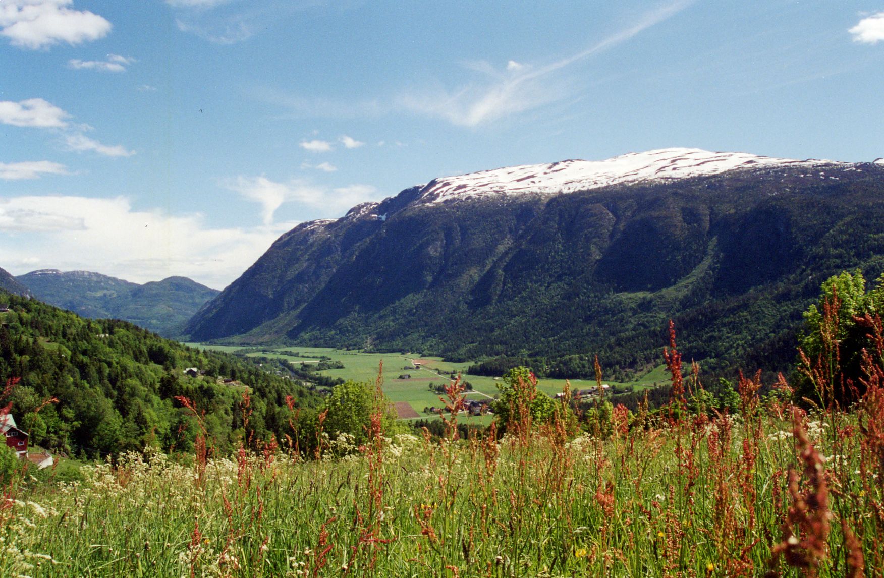 Flatdal og skorve