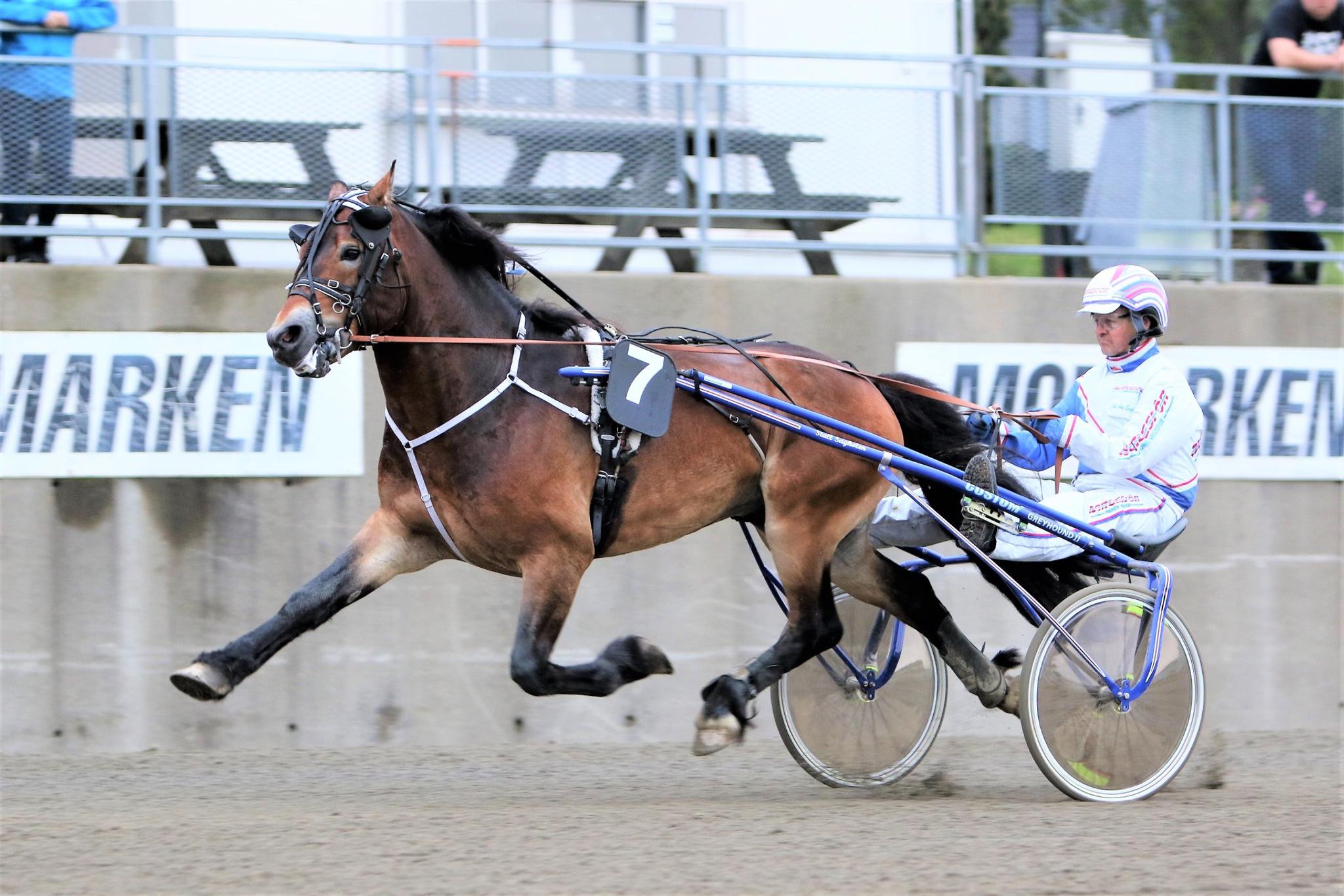Trotting race Momarken Trotting course