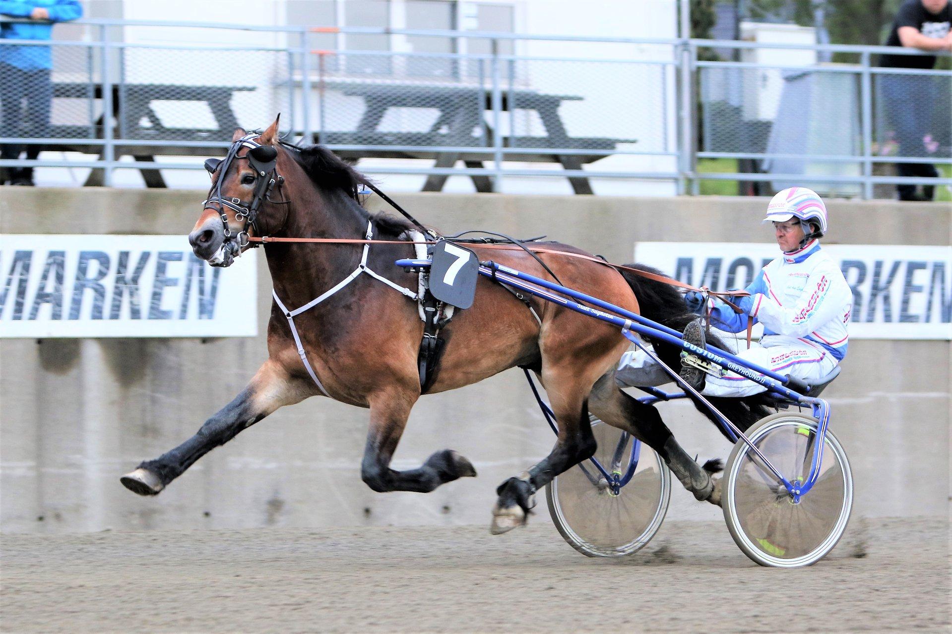 Trotting race Momarken Trotting course