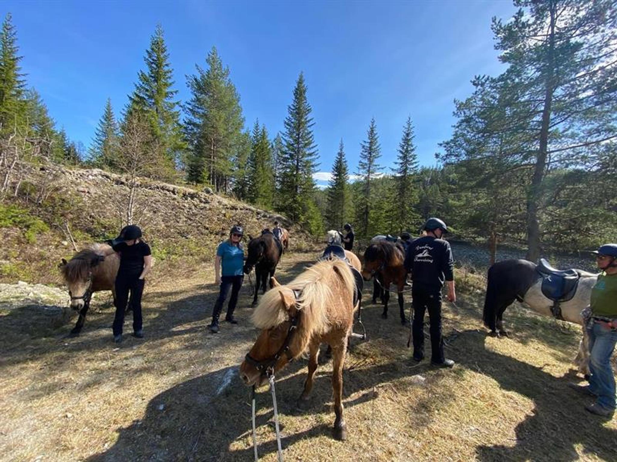 Hesteridning i Nesbyen med Vassfaret Turridning