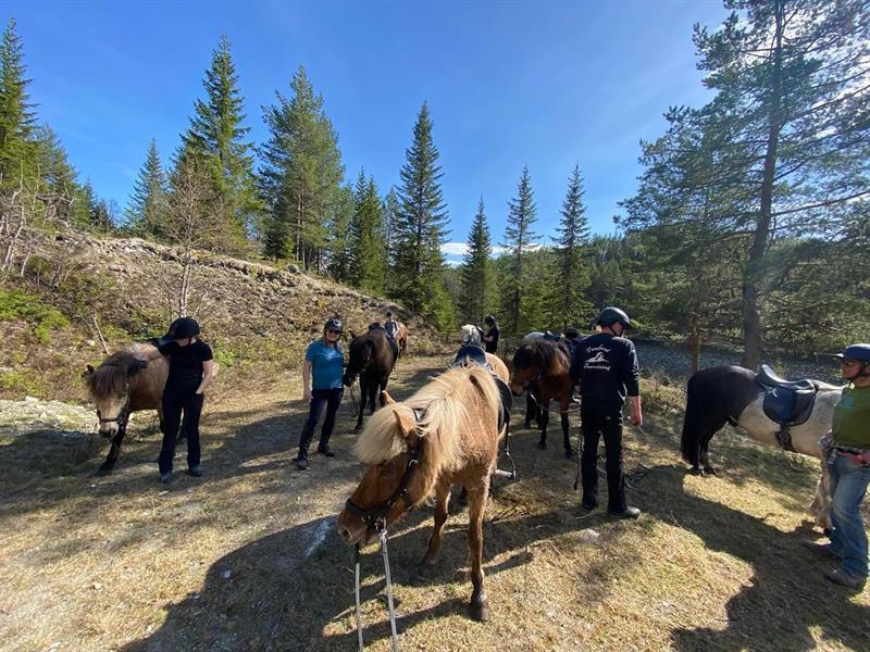 Hesteridning i Nesbyen med Vassfaret Turridning