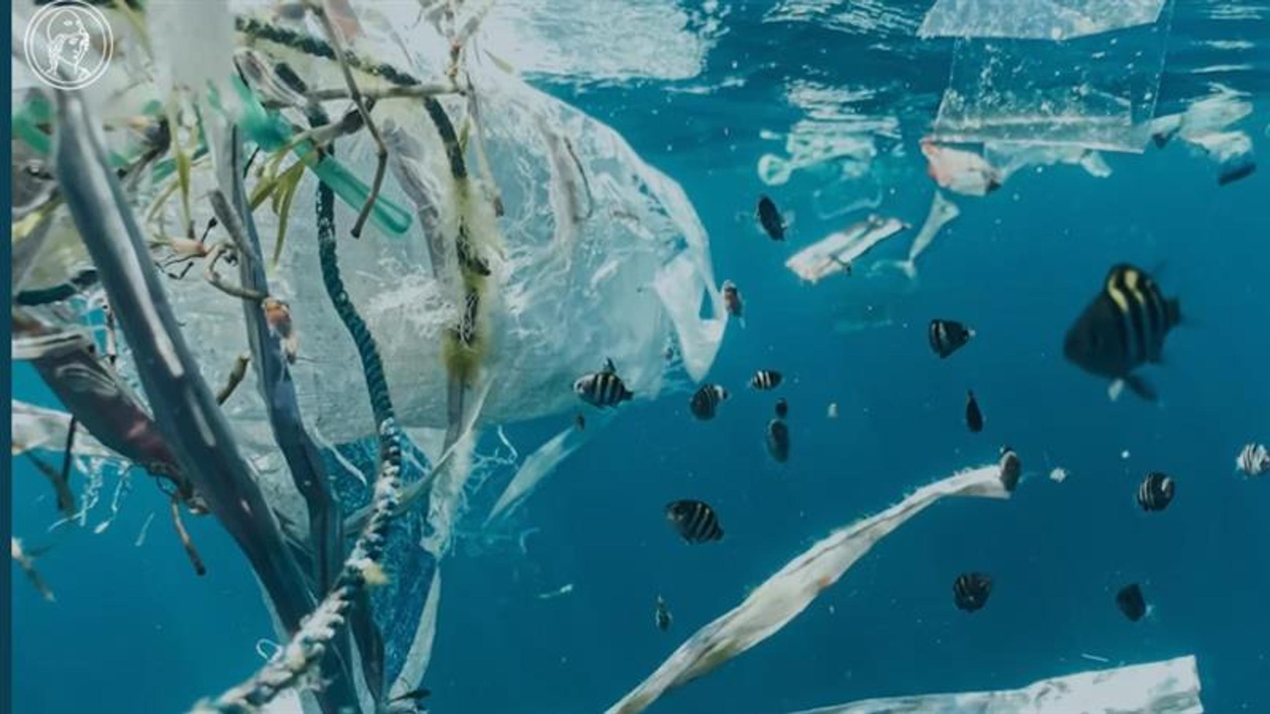 Utstilling: Toxic Beauty