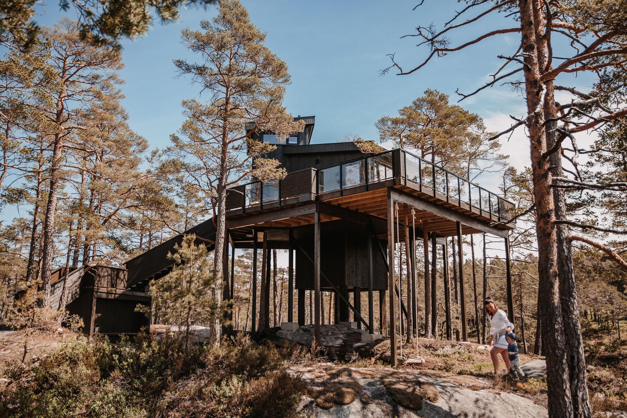 Furukrona, Iveland Tree Top Panorama