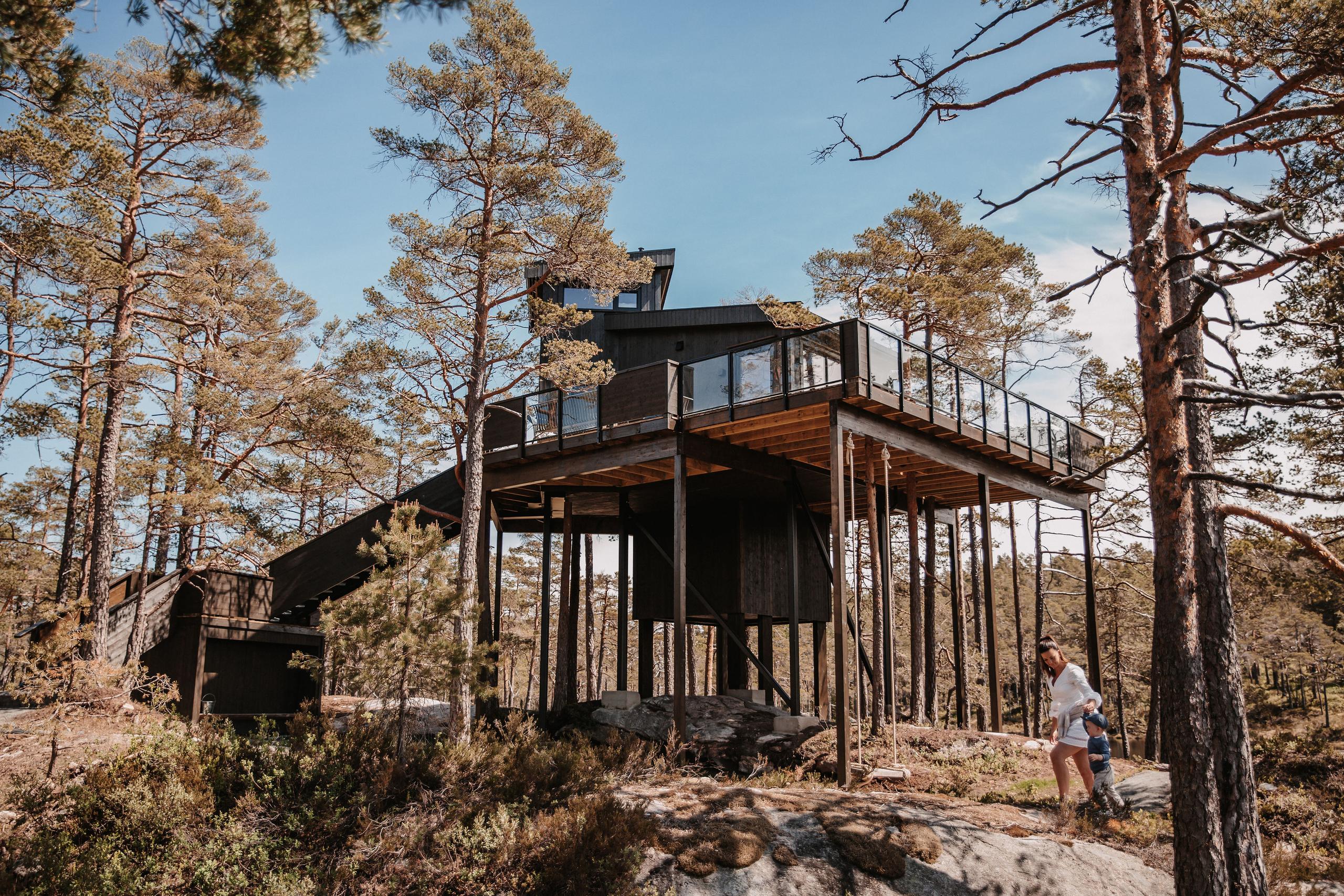 Furukrona, Iveland Tree Top Panorama