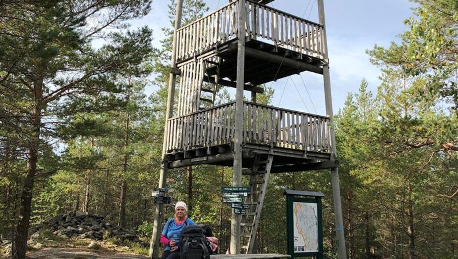 Tårn i skogen