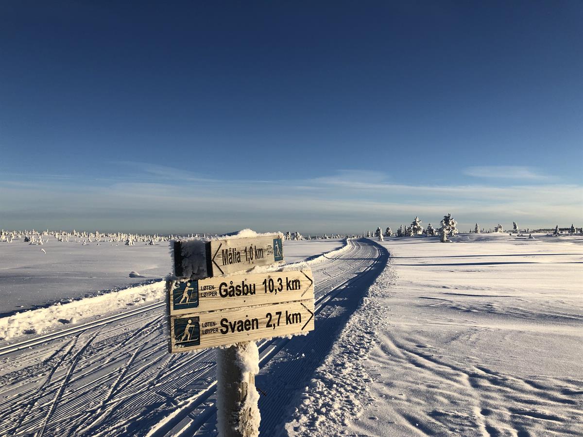 A winter mountain plateau under a clear blue sky, with ski trail signs in the foreground and open snowfields in the background.