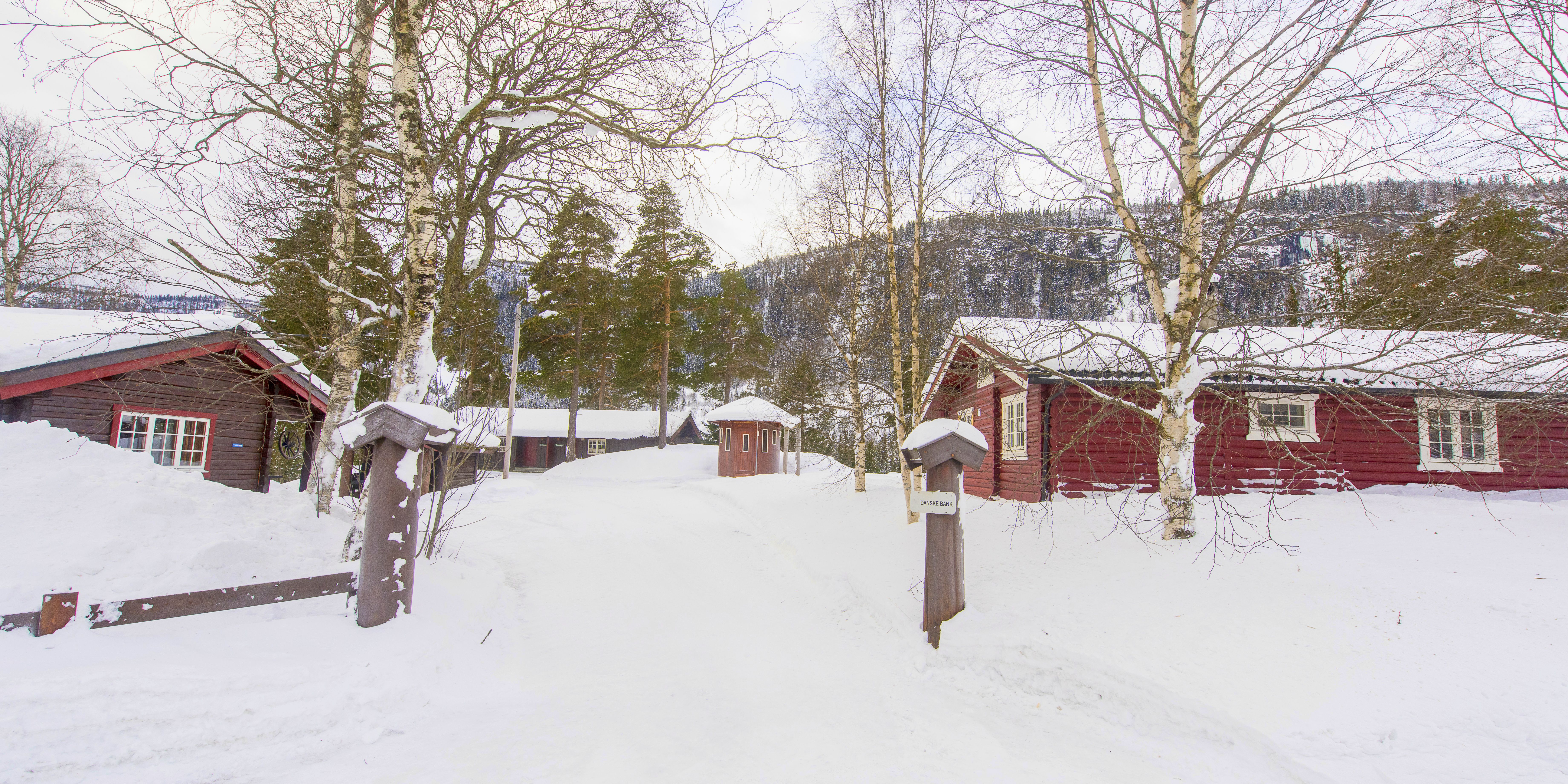 Tveitehaug - vinter - Ål