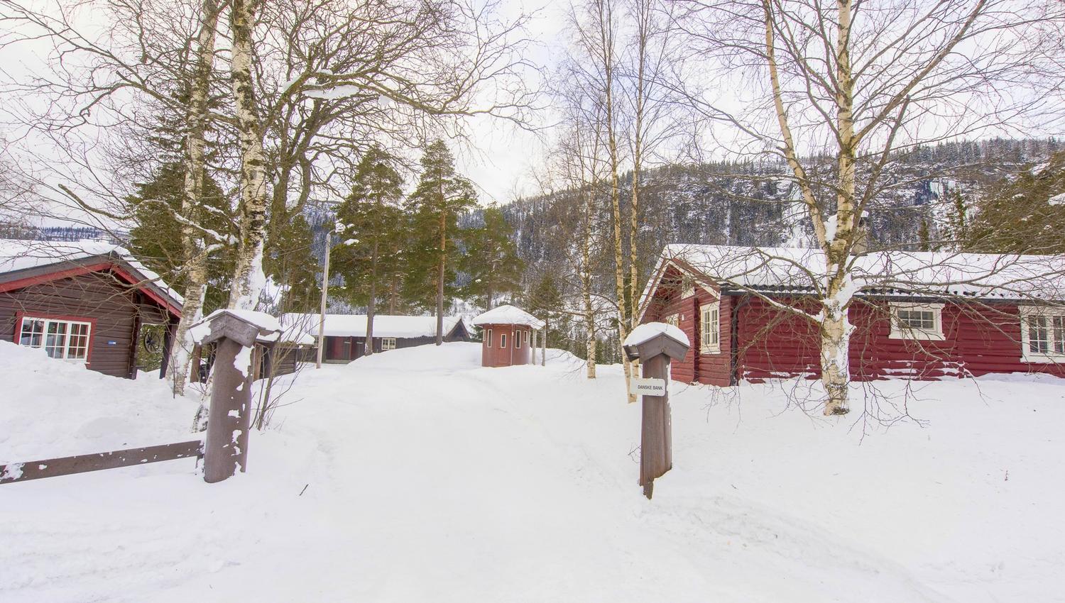 Tveitehaug - vinter - Ål